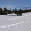 Schneeschuhwandern (20090104 0038)